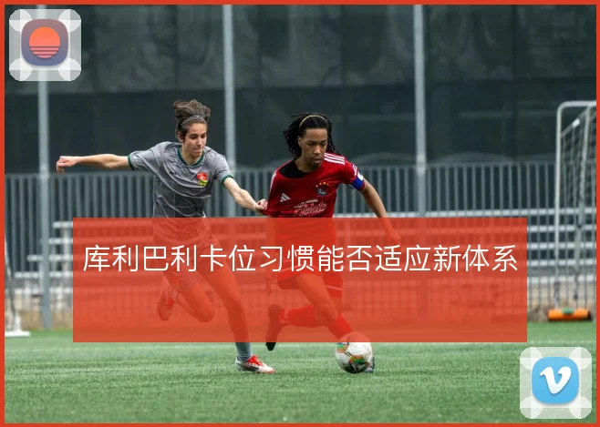 库利巴利卡位习惯能否适应新体系